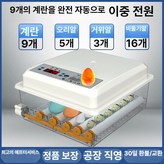 9개 이중 A × 1개