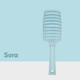 소라 × 1개