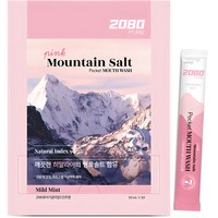 2080 퓨어 핑크솔트 포켓 마우스워시 구강청결제 50p, 500ml, 1개