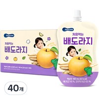 베베쿡 처음 먹는 배도라지 유아 음료, 배도라지맛, 100ml, 40개