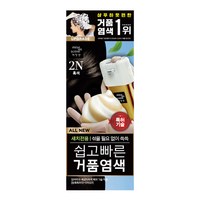 미쟝센 올 뉴 쉽고 빠른 거품 염모제 80g, 2N 흑색, 1개