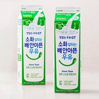 남양유업 맛있는우유GT 소화가 잘되는 고소한 락토프리, 900ml, 2개