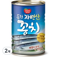 동원 꽁치 통조림, 400g, 2개