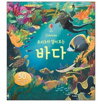 요리조리 열어 보는 바다(플랩북), 어스본코리아, 요리조리 찾고 색칠하는 시리즈