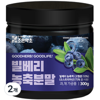 조은약초 빌베리 농축분말, 300g, 2개