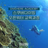 [서귀포] 숙박포함 제주도 다이브히어 스쿠버다이빙 오픈워터 자격증 과정