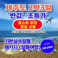 [제주도 패키지] 제주도 2박3일 패키지 【홈쇼핑 동일 상품】【가성비/반값 초특가】 1.기본 실속알뜰패키지