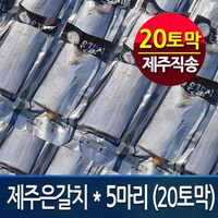 [제주직송 정품] 제주은갈치 250gx5마리 (총 20토막) /프리미엄 제주갈치, 1개