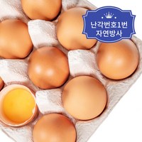 자연방사 난각번호1번 무항생제 유정란, 30구, 1개