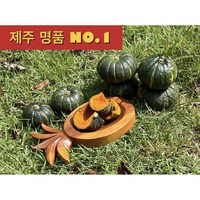 <제주빛가람> 제주 미니 밤호박 보우짱, 1박스, 2kg’>
                </div>
<div class=