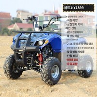 125cc 사륜 구동 사발이 오토바이 산악 ATV 바이크, A, A 옵션 이미지 참조