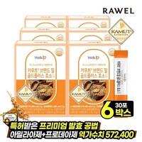 로엘 카무트 브랜드밀 골드플러스 효소 30포 6박스, 로엘 카무트 브랜드밀 효소 6박스, 90g