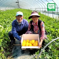 성주 참외 당도선별 산지직송, 1박스, 못난이 2kg(혼합과)