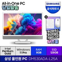 삼성전자 올인원 일체형 PC 프로스트 화이트 DM530ADA-L25A (펜티엄골드 7505 60.5cm WIN11 Pro) 기업용 사무용 학습용, RAM 8GB + SSD 128GB