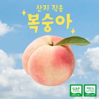 [하늘작 충주 복숭아 택배 한박스] 딱복 물복 딱복숭아 물복숭아, 천중도, 12개