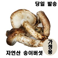 2024년 최고급 자연산 송이 버섯 자연 추석 설날 명절 선물세트, 가정용 500g