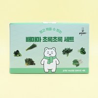 배마마 초록초록세트 야채 큐브, 90g