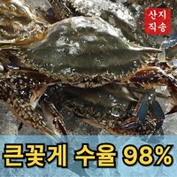 신속발송 산지직송 국내산 제철 꽃게, 1개, 당일조업 숫꽃게 1kg