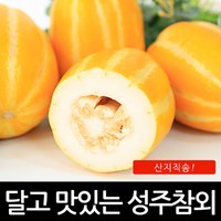 진짜 성주 꿀 참외 못난이 대용량 11kg (실중량10kg), 진짜성주꿀참외못난이11kg (실중량10kg), 랜덤과, 1개