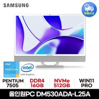 삼성 올인원PC DM530ADA-L25A 사무용 가정용 공간활용 일체형PC, WIN11 Pro, 512GB, 16GB