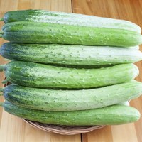 [재구매율1등]최고급원조품종 명품 백다다기 백오이, 1세트, 오이 1kg(개당 140-200g)
