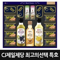 CJ제일제당 명절 스팸 선물세트 최고의선택 특호, 2세트