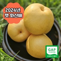 [경남 하동] 국내산 명절 선물용 배 나주 프리미엄 햇배 원황배 황금배 신화배 신고배 화산배 추황배, 1박스, 추황배 7.5kg(미니 17~20과)