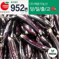 <해돋이농산> 국내산 햇 가지 못난이가지 상품 10kg, 1박스’>
            </div>
<div class=