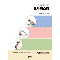 요가 지도자 과정 요가 마스터 -플레이북 요가 시리즈 기본 원리와 지도 기술, 플레이북, 김연진,박윤지 저