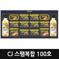 CJ제일제당 스팸 복합 100호 선물세트(케이스포장), 4개