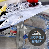 [다정한] 제주직송 은갈치 특대(4토막) 300g 7마리 총28토막, 단품