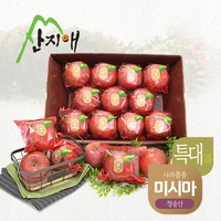 [산지애] 씻어나온 꿀사과 4kg 1box (특대과) / 청송산 미시마 당도선별, 1개, 상세 설명 참조