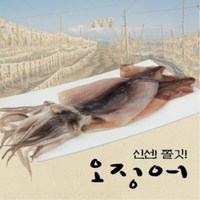 피데기오징어(수앤) 반건조 피데기오징어 165g~200g X 20마리 (총 3.6kg), 1