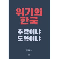 위기의 한국 추락이냐 도약이냐, 글통, 장기표 저