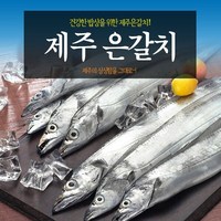 [제주향] 제주은갈치150g x 8팩(24토막/8미), 상세 설명 참조, 8개