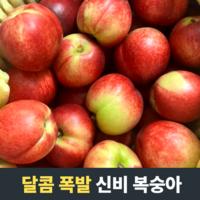 [농장직송] 달콤폭발 신비복숭아 중대과 대과 로얄과 1kg 1.5kg 2kg 3kg 4kg 신비복숭아2kg 신비복숭아대과 복숭아 신비복숭아 경북신비복숭아 신선복숭아 신비복숭아1kg, 1개, 1kg 중대과 (5-11과)