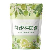 닥터릴리 차전자피분말 가루, 1개, 500g