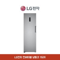 LG전자 컨버터블 냉동고 샤인 321L