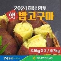 24년 화산농협 해남 황토 햇 밤고구마 7kg(3.5kg+3.5kg), 단일옵션