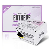 몬스타 몬스타 가츠 ExtremeX FX700 80PLUS STANDARD 화이트, 단품