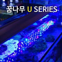 꿈나무 U120 해수, 1개