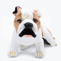 한사토이 불독 Bulldog Sitting 4627, 혼합색상