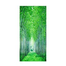 렉스데코 포토그래픽 접착시트지, 숲속길