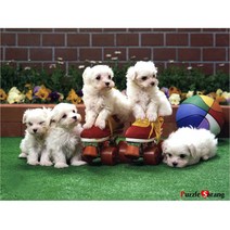 오메가 즐거운 시간 500조각, 38 x 52cm