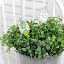 [행복디자인] 러블리 새장픽 2P세트