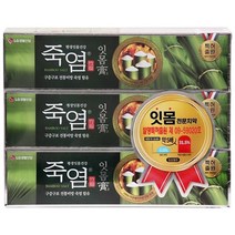 죽염 잇몸고 치약, 1개, 120g
