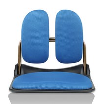 이편한의자 스마트 듀얼 좌식의자, 블루