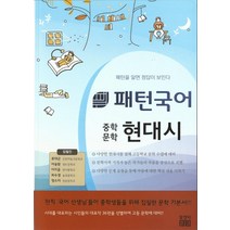 패턴국어 중학문학 현대시:패턴을 알면 답이 보인다, 알앤비