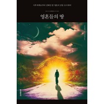영혼들의 땅:사후세계로부터 전해진 한 영혼의 감동 오디세이, 정신세계사, 프란체쏘 저/김성진 역