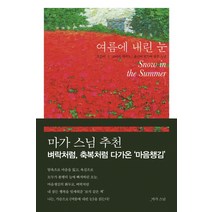 여름에 내린 눈, 한언